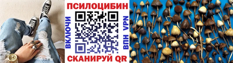 Купить закладки  Игарка  Галлюциногенные грибы GOLDEN TEACHER 